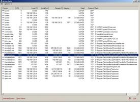 screenshot: Active Ports