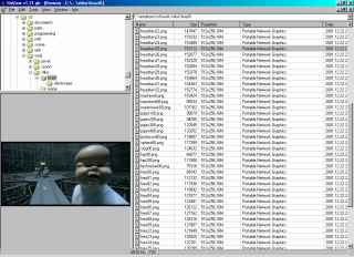 screenshot: XnView